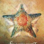 Starfish-Spirit-Open-to-infinite-possibility